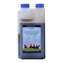 Load image into Gallery viewer, Dynavyte Equine Microbiome Support  - 1 Litre &amp; 5 Litre
