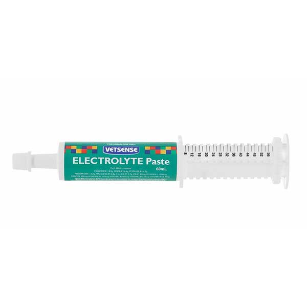 Electrolyte Paste